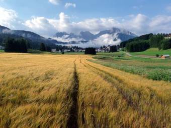 Hotel Albergo Giannina