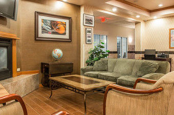 Hotel Comfort Inn & Suites Fenton