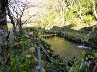 Bunbury Fruit Ranch B&B