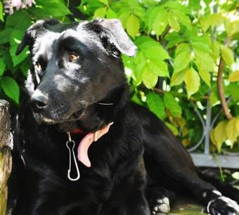 Agroturismo Agriturismo Brusalino