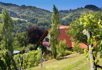 Agroturismo Weingut Schauer