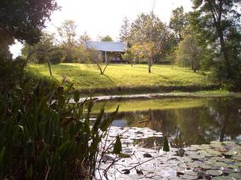 Agroturismo Peace Of Eden Eco Forest Retreat
