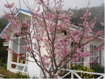 Alishan Tea Garden B&B Tuscany