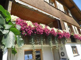 Apartamento Ferienwohnung Kaufmann