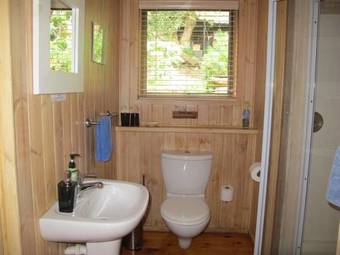 Sedgies On The Water