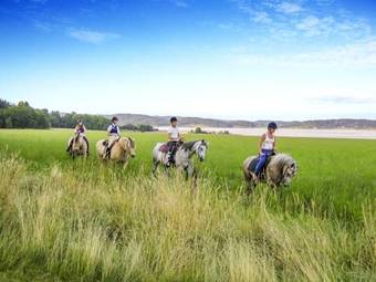 Hafsten Swecamp Resort