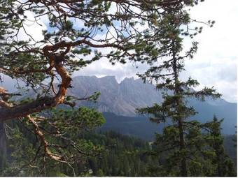 Hostal Pension Simhild