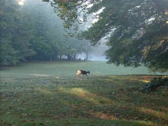 Bed & Breakfast Waterford Manor
