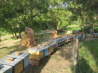 Agroturismo La Manna Di Zabbra