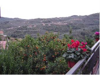 Agroturismo B&B Ca' De Pippu