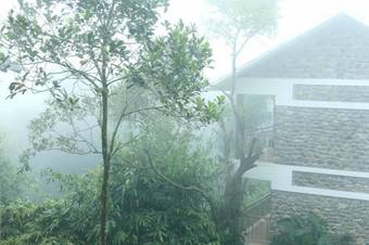 Hotel Misty Mountain Plantation Resort