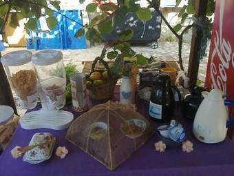 Bed & Breakfast Buenavistasurfmed