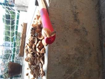 Apartments Miriam Karol