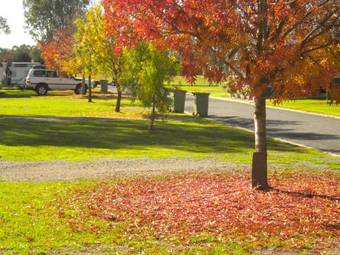 Holbrook Motor Village