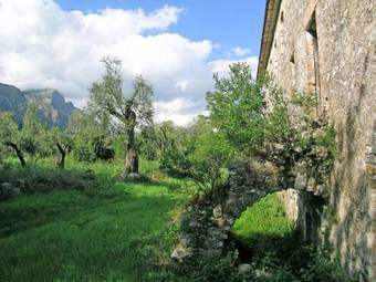 Apartment Welcome To Campolongo