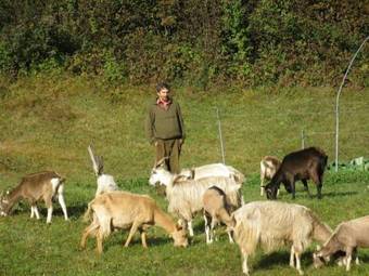 Agroturismo Agriturismo Al Marter
