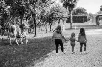 Agroturismo Dai Minisins