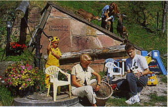 Aparthotel Ehrenm�ttlehof Fai�t