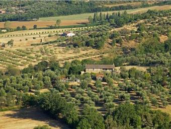 Hostal Villa Le Tre V