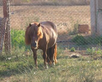 Agroturismo Can Barnosell - Els Masos D'en Coll