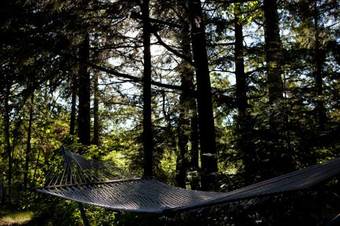 Bed & Breakfast Pinehurst Inn