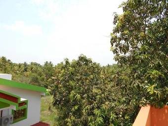 Hostal Dio's Guest House