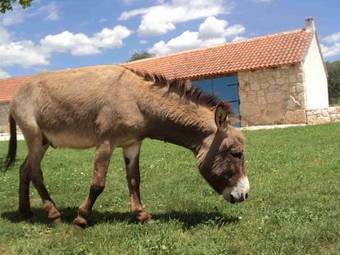 Agroturismo Country House Mari?a Gaj