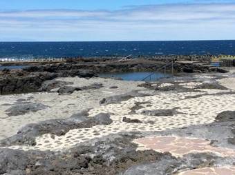 Apartamento La Palmita De Canarias