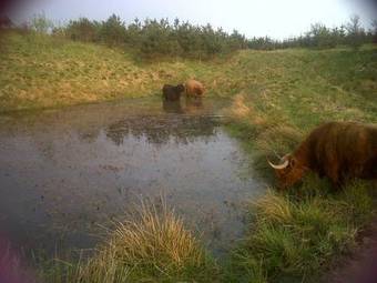 Bed & Breakfast Lochinvar