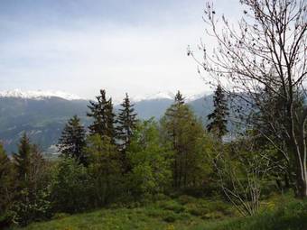 Apartment Cristal 414