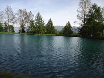 Apartment Antares 403