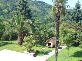 Villa Willa Batumi