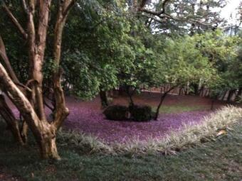 Hotel Villa Deifiori