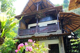 Bed & Breakfast Ecotravel Cottages Bukit Lawang
