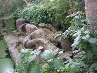 Hotel Tiger Trails Resort