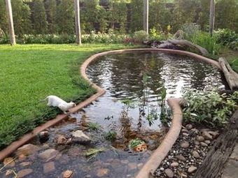 Hotel Good Times Resort