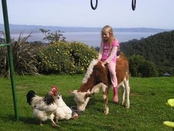 Agroturismo Nightingale Falls Farmstay Retreat