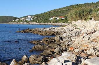 Apartments By The Sea Milna (vis) - 8946