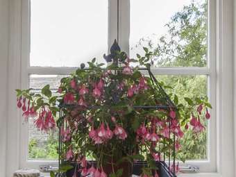 Apartamento Linton Court Coach House