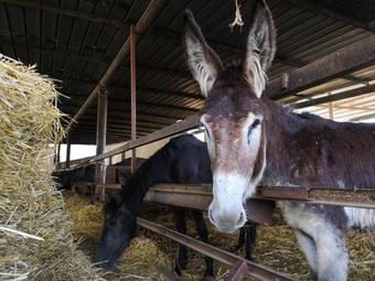 Agroturismo Fontana La Pietra