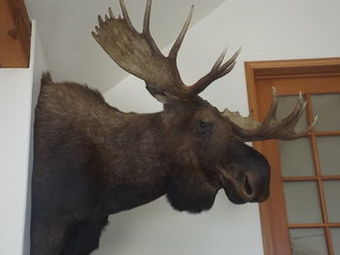 Posada Clark Fork Lodge