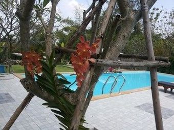 Hotel Kanvela Resort