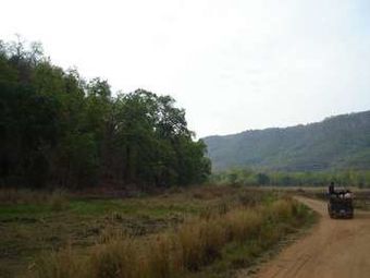 Hotel Tiger Trails Resorts