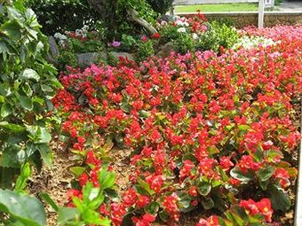 Loisir Hotel Okinawa Churaumi