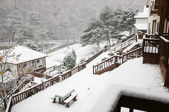 Hotel Spring Summer Fall Winter Pension