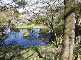 Cultural Property Of Japan Senzairo