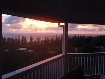 Hotel The White House