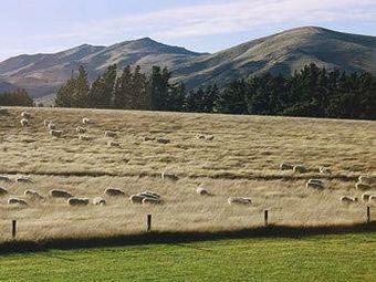 Hotel Quickenberry Guesthouse