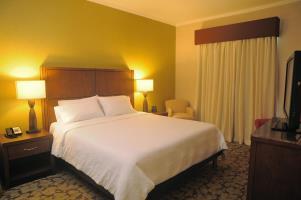 Hotel Hilton Garden Inn Panama