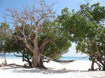 Hotel Ras Michamvi Beach Resort